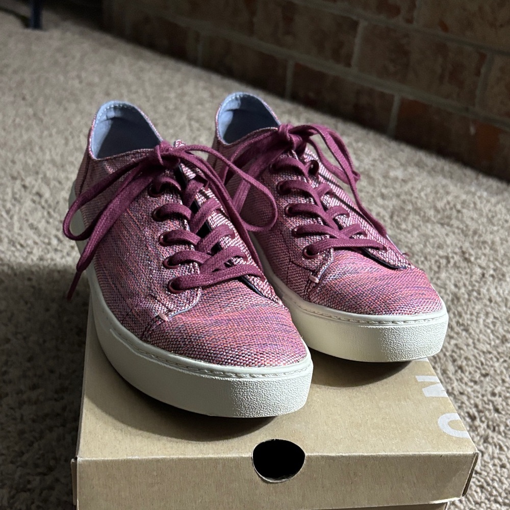 Toms Maroon Canvas Sneakers